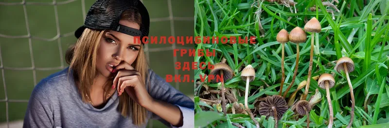 Галлюциногенные грибы Magic Shrooms  Вельск 